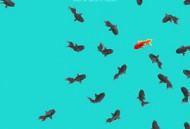 明月的暑期日记