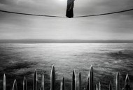 大军师司马懿之军师联盟MP4格式