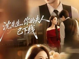 沈先生，你的夫人已下线