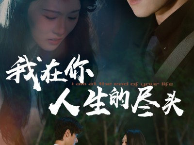 我在你人生的尽头