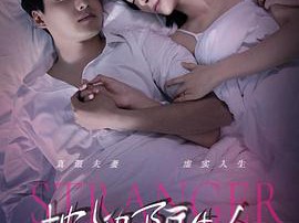 枕边陌生人MP4格式