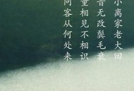 客从何处来第一季MP4格式