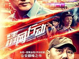 清网行动MP4格式