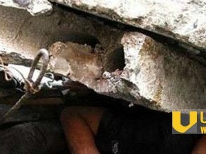 汶川地震灵异事件大揭秘 巨石压身蓝色怪脸浮现_灵异鬼话