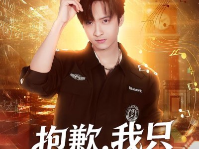 抱歉，我只是个保安