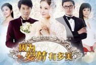 因为爱情有多美MP4格式