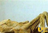 特灵娜冰墙中存活千年 产下活婴重达14斤堪称奇迹_灵异鬼话