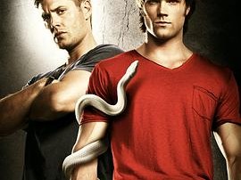 邪恶力量 第六季