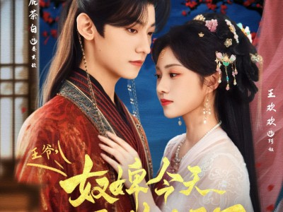 王爷奴婢今天又要作妖了