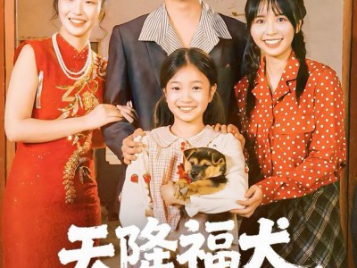 天降福犬旺全家