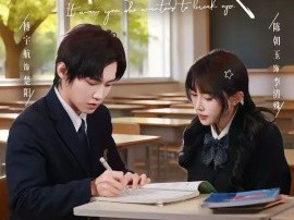 是你要分手的，我走了你又哭啥