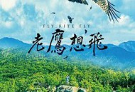 老鹰想飞