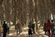 全能约翰逊兄弟第二季