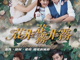花非花雾非雾MP4格式