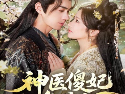 神医傻妃名动天下
