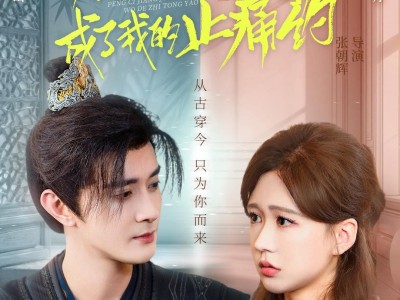 碰瓷将军成了我的止痛药