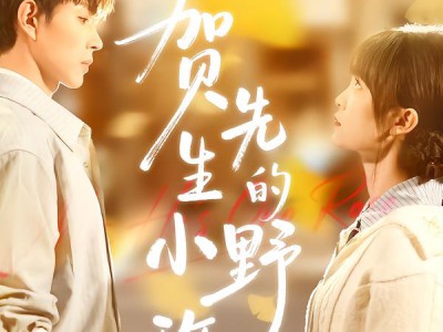 贺先生的小野玫瑰