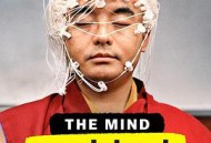 头脑解密第一季