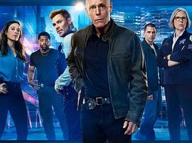 芝加哥警署第十三季