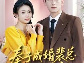 奉子成婚裴总宠我上瘾
