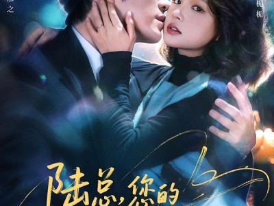 陆总，您的贪财小娇妻已上线