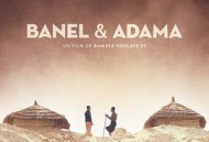 贝内尔和阿达玛