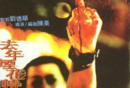 去年烟花特别多