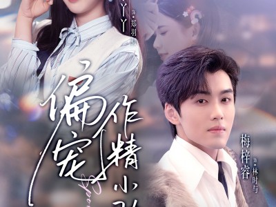 偏宠作精小助理