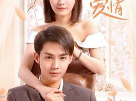 我可能遇见了爱情MP4格式