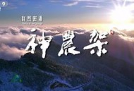 自然密语：神农架MP4格式