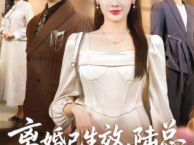 离婚已生效，陆总你老婆不要你了