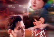 前夫失忆后，成了我的粘人精