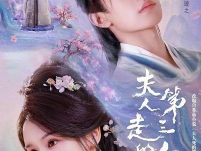 夫人走的第三年