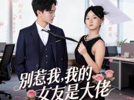 别惹我，我的女友是大佬