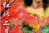 霜叶红似二月花MP4格式