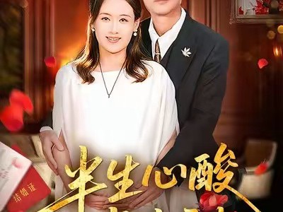 半生心酸半生甜