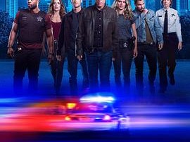 芝加哥警署第七季