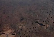 狩猎场·寄死窑