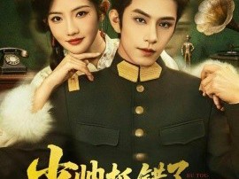 少帅抓错了，夫人不偷情报只偷心