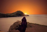 星球大战：侍者