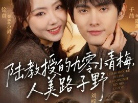 陆教授的九零小青梅，人美路子野