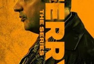 卧底费瑞的故事