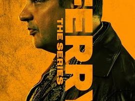 卧底费瑞的故事