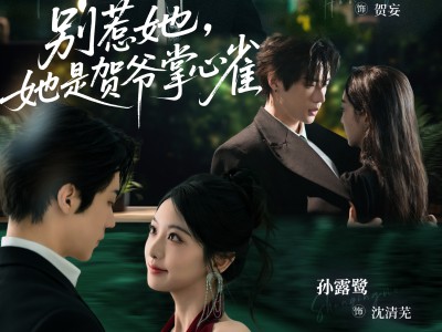 别惹她，她是贺爷掌心雀