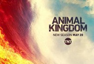 野兽家族第四季