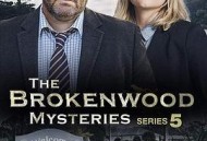 断林镇谜案第五季