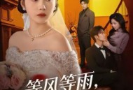 等风等雨，等不到你