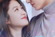 我的秘密室友MP4格式