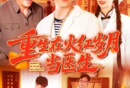 重生在火红岁月当医生