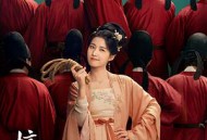 榜上佳婿MP4格式